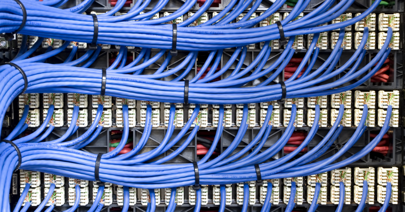 Close-up of blue Ethernet patch cables neatly bundled and connected to a network patch panel